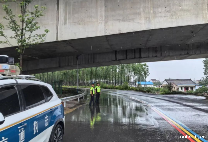 以“战”之势防范台风“竹节草”